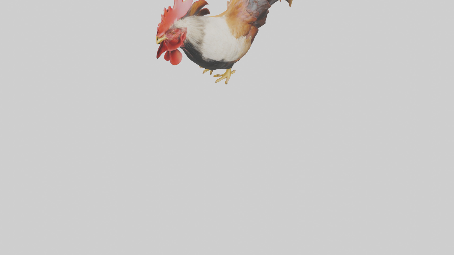 Rooster Comb Model Low-poly 3D model_6