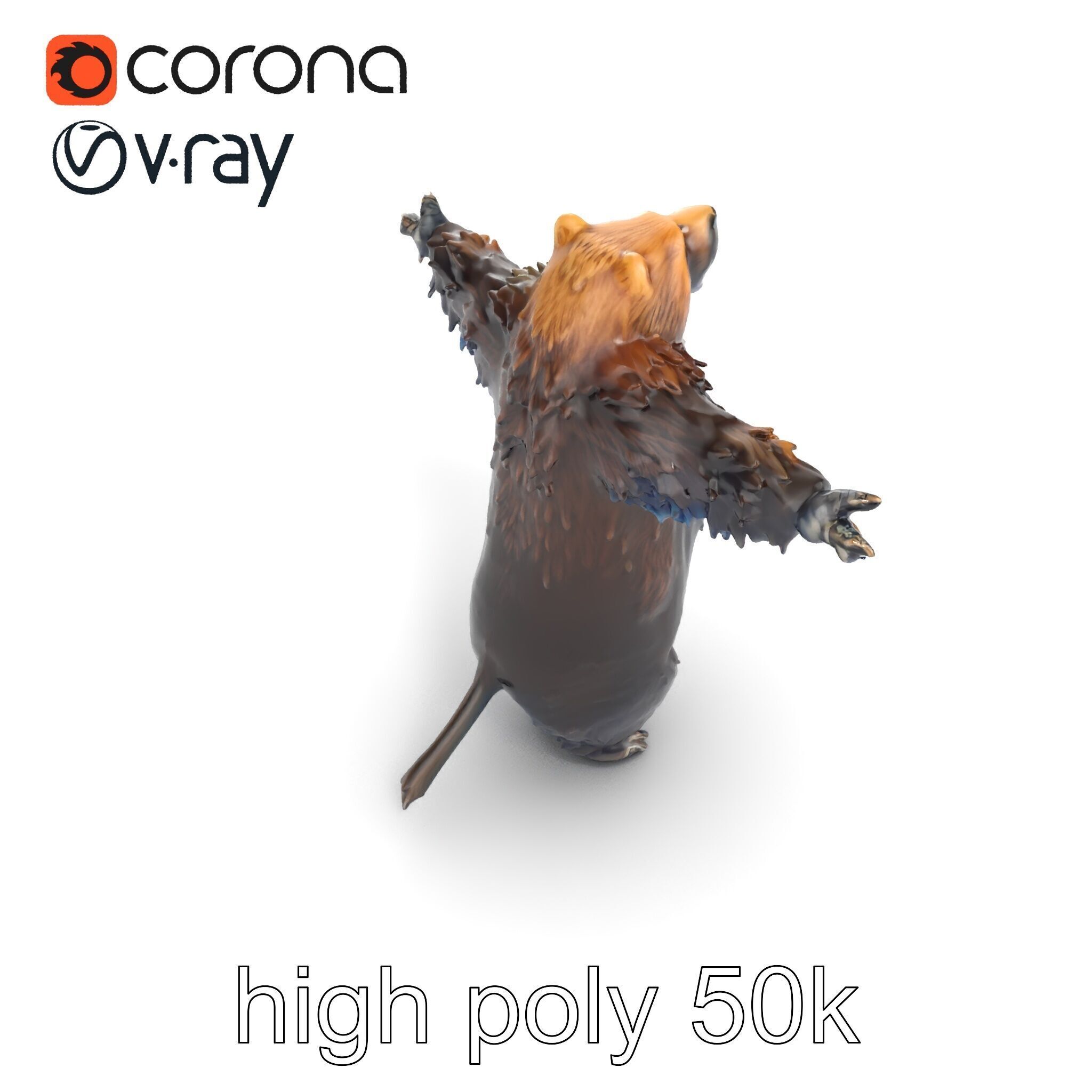 Grizzly Bear Forest Creature model pack Low-poly 3D model_23