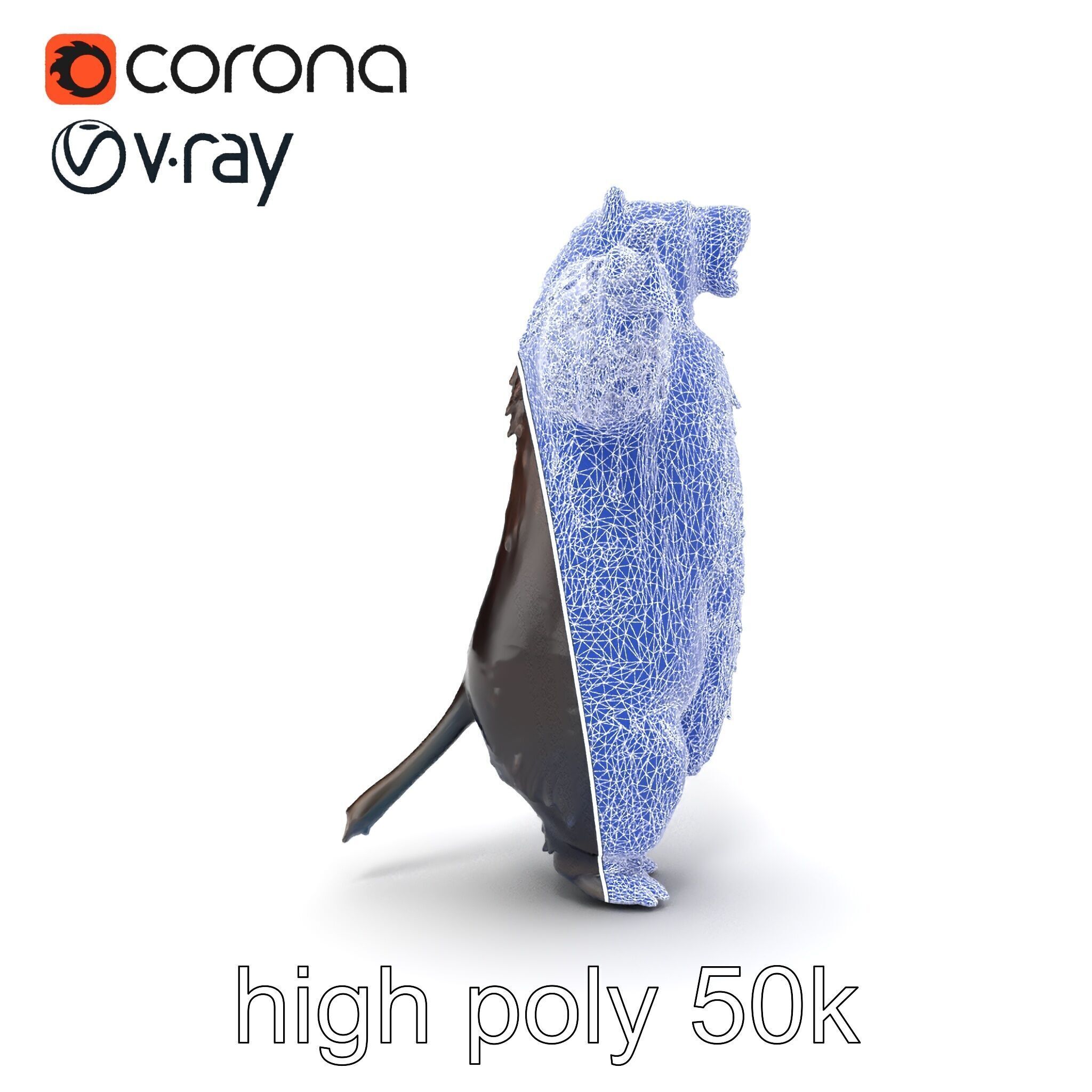 Grizzly Bear Forest Creature model pack Low-poly 3D model_26