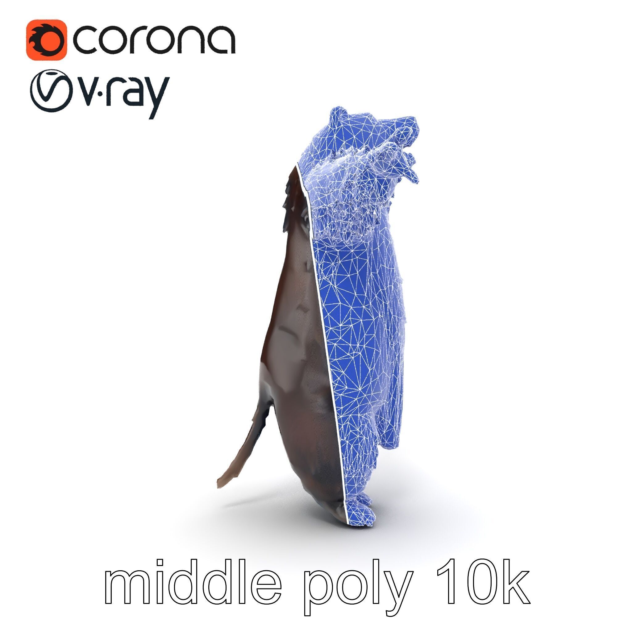 Grizzly Bear Forest Creature model pack Low-poly 3D model_28