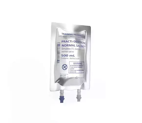 training IV bag 3D model