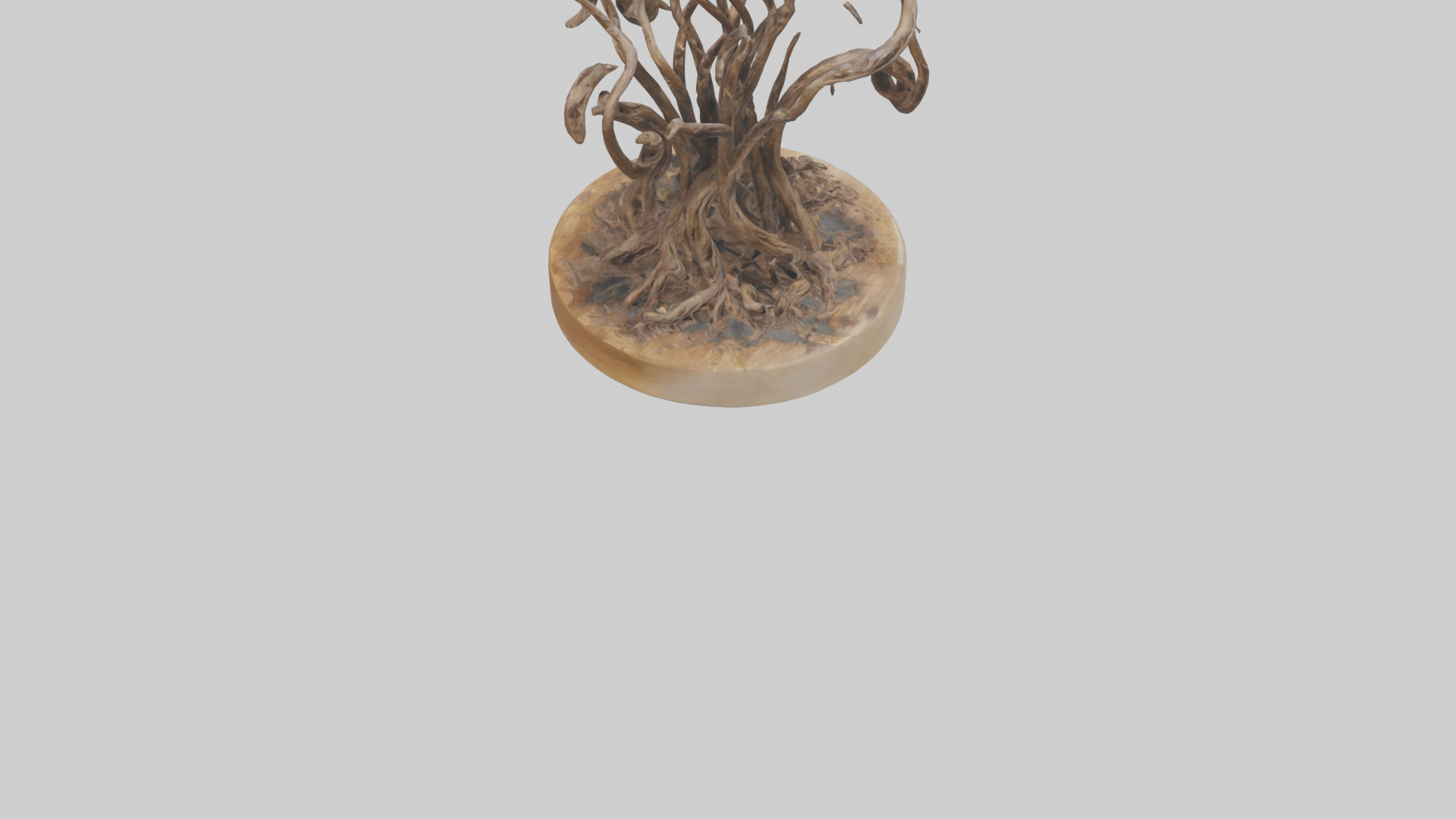 Roots in Motion sculpture model Low-poly 3D model_6