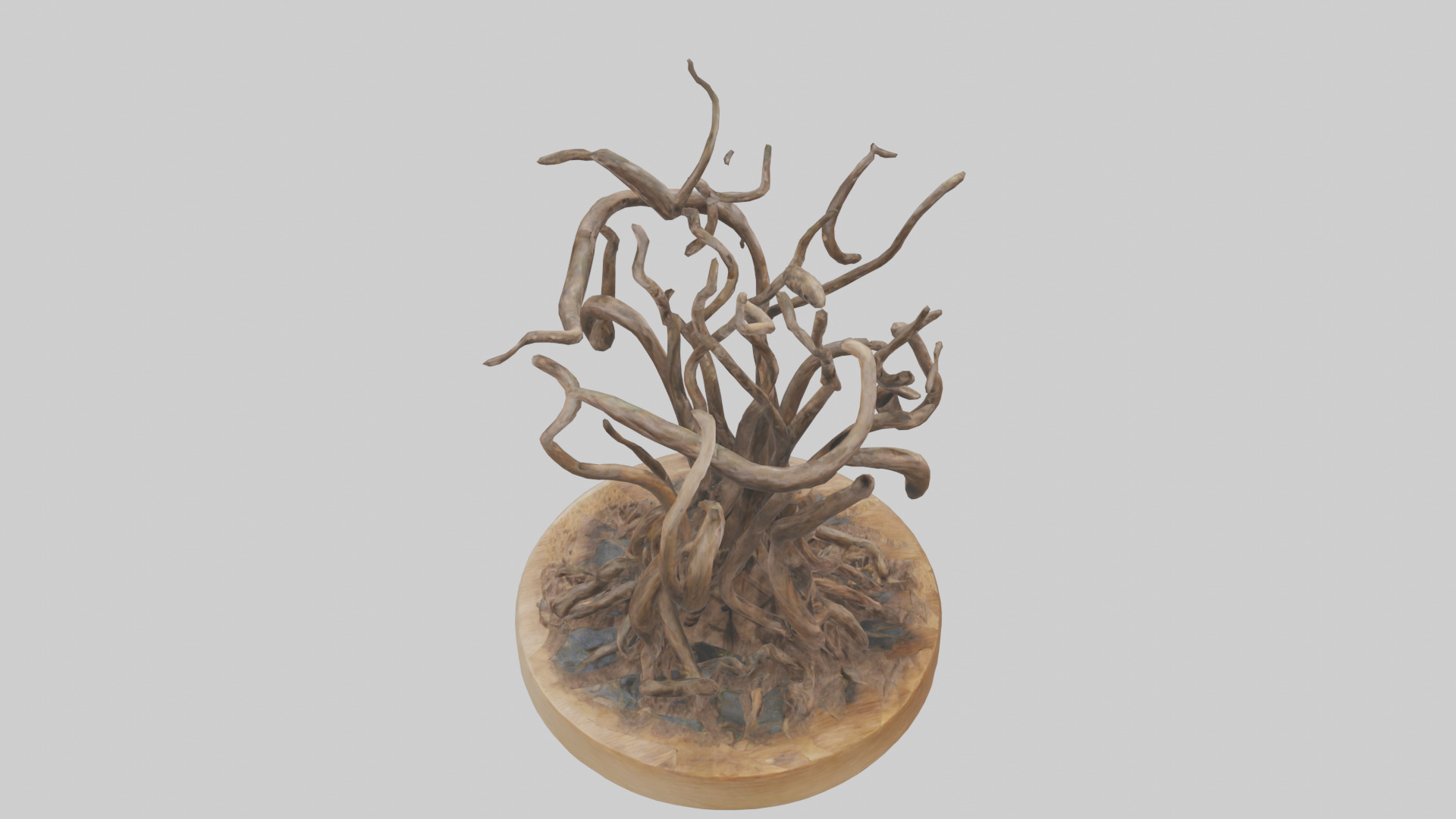 Roots in Motion sculpture model Low-poly 3D model_15