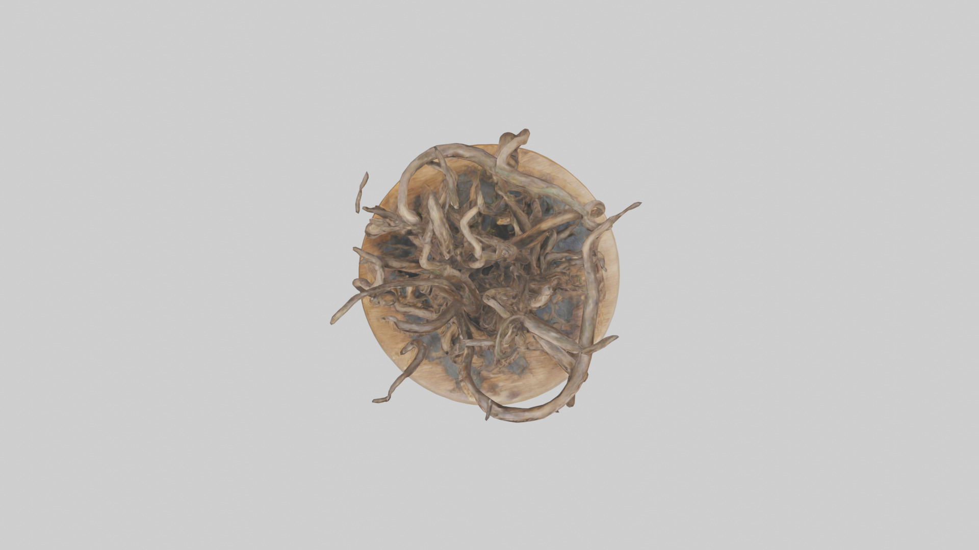 Roots in Motion sculpture model Low-poly 3D model_14