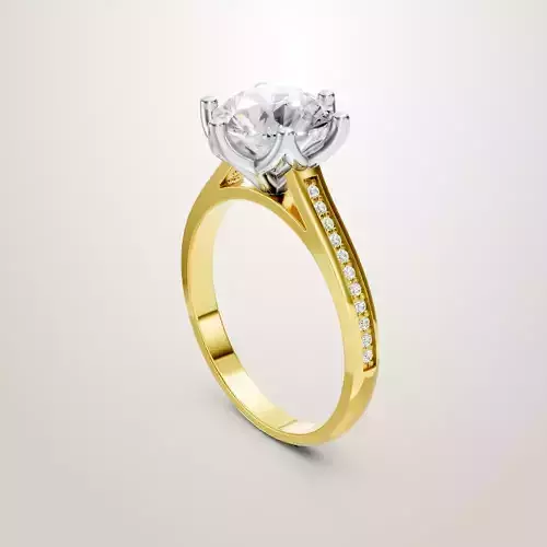 Engagement Wedding Ring 123