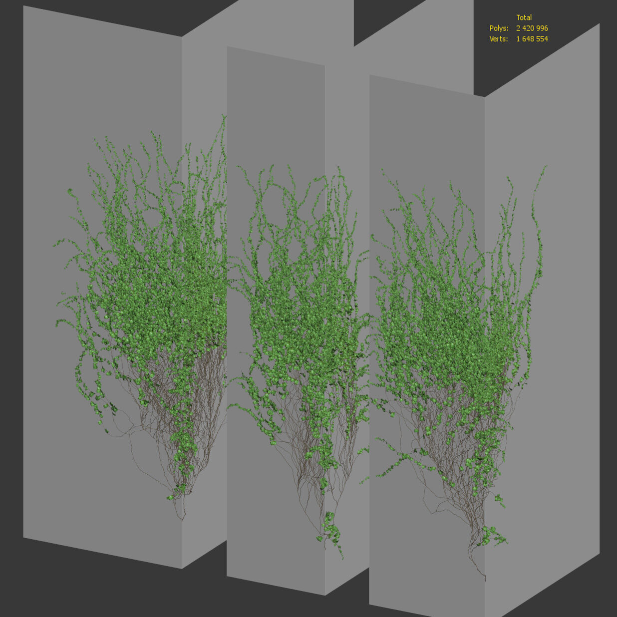 Ivy for corner wall facade - 3 models 3D model_2