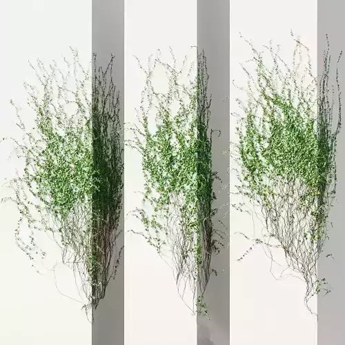 Ivy for corner wall facade - 3 models