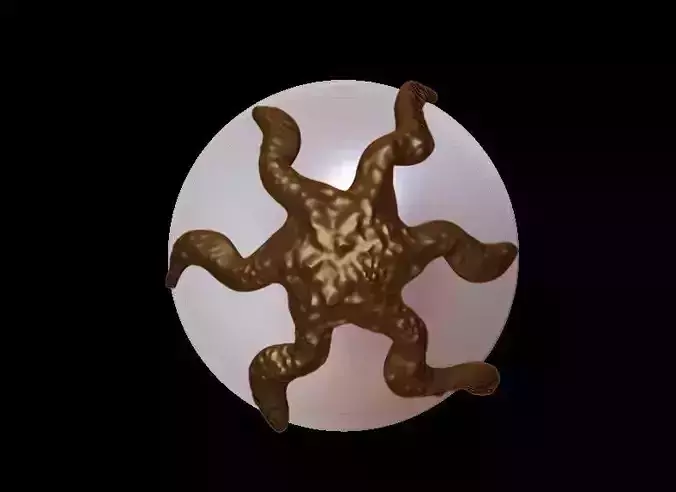 Organic Form Earrings