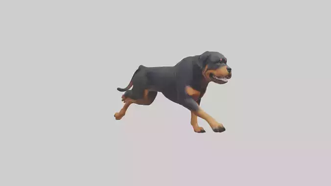 Rottweiler running model