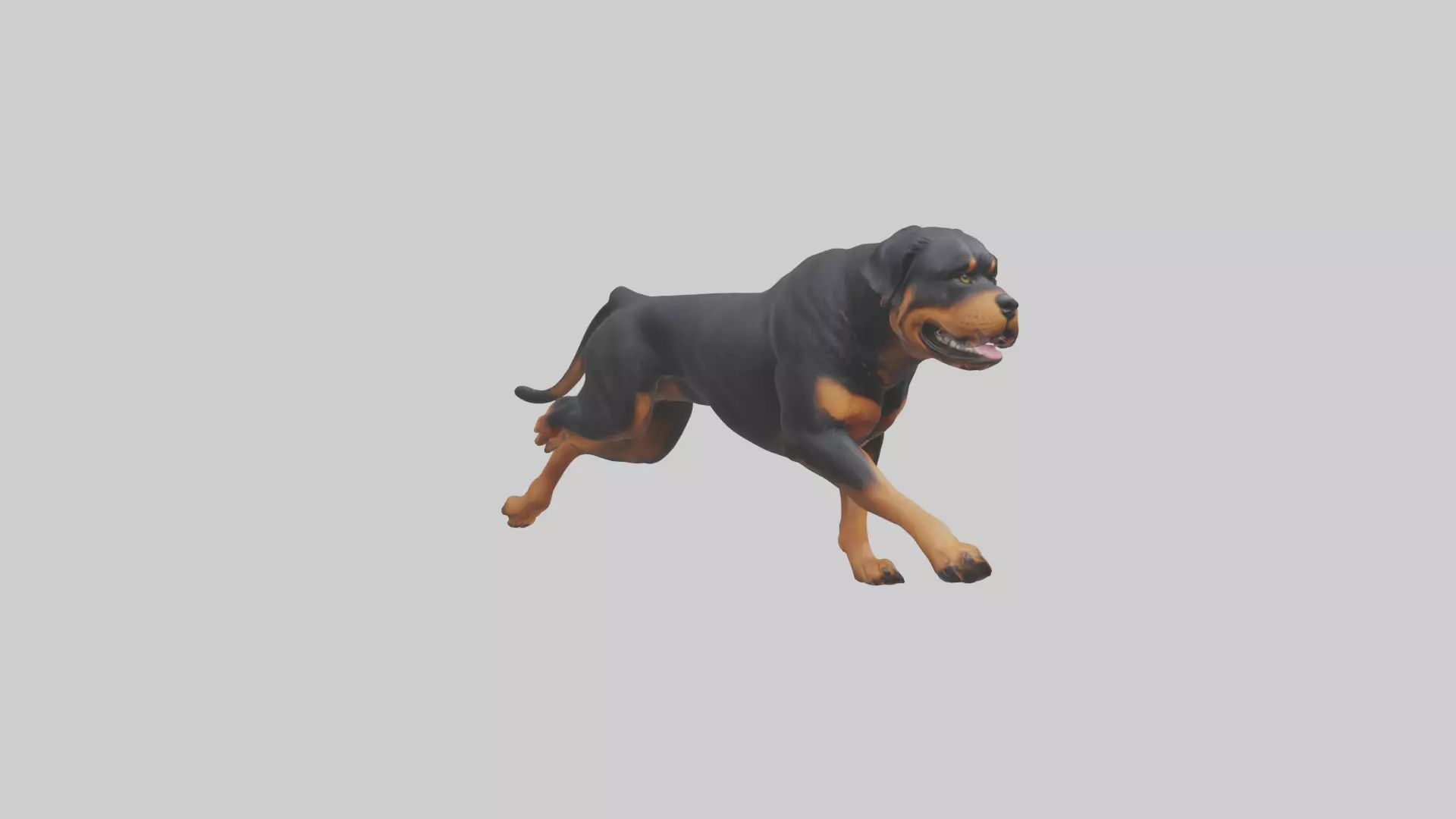 Rottweiler running model Low-poly 3D model_0