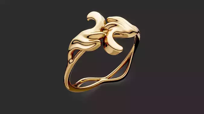 Ornament Bypass ring 