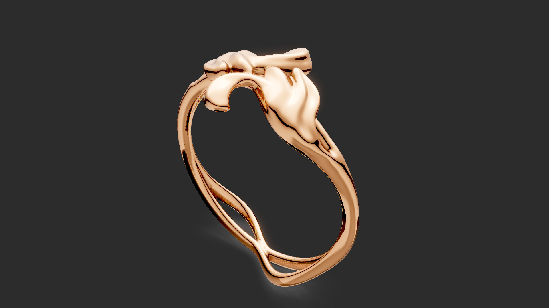Ornament Bypass ring  3D print model_7