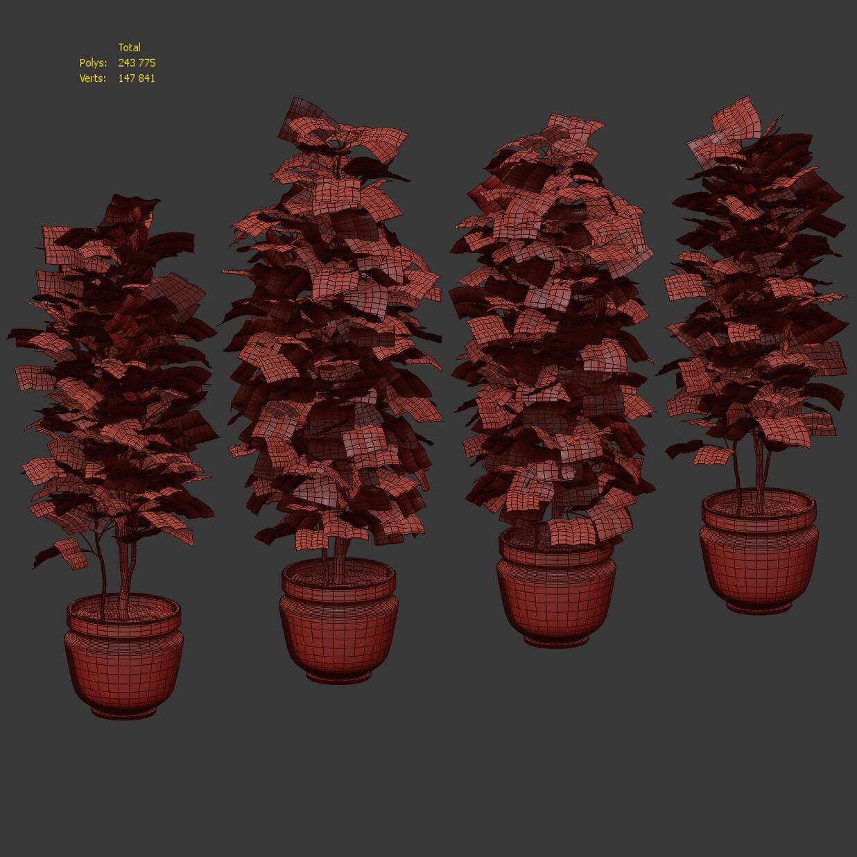 Ficus - 4 models 3D model_5