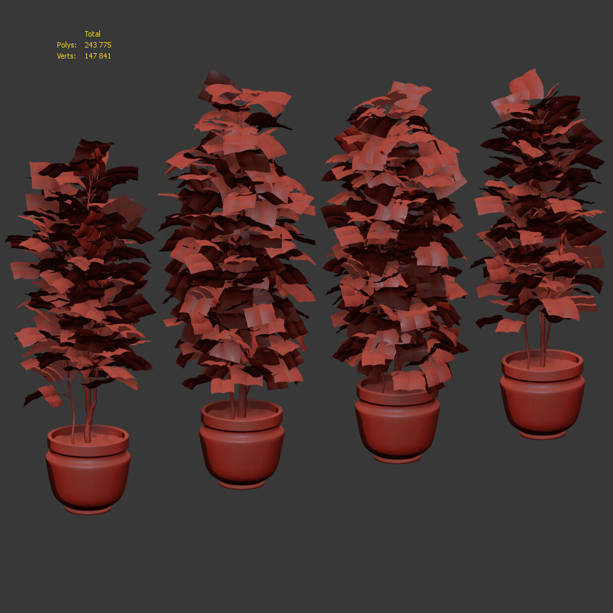 Ficus - 4 models 3D model_2
