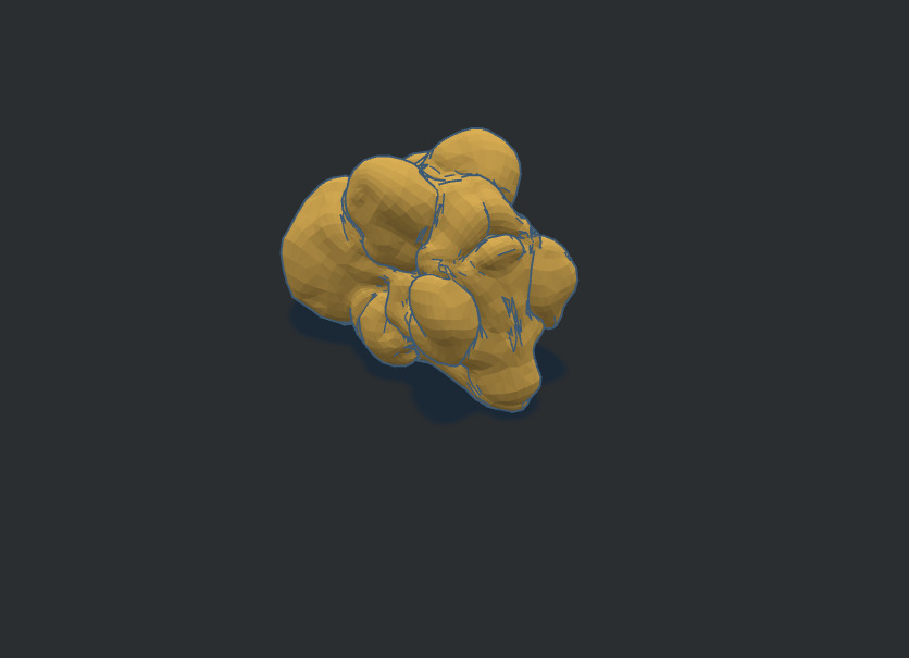 3D European White Truffle STL OBJ FBX Model for Miniatures  3D print model_1