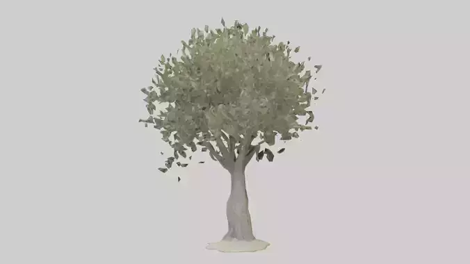 Russian Olive tree model Low-poly 3D model