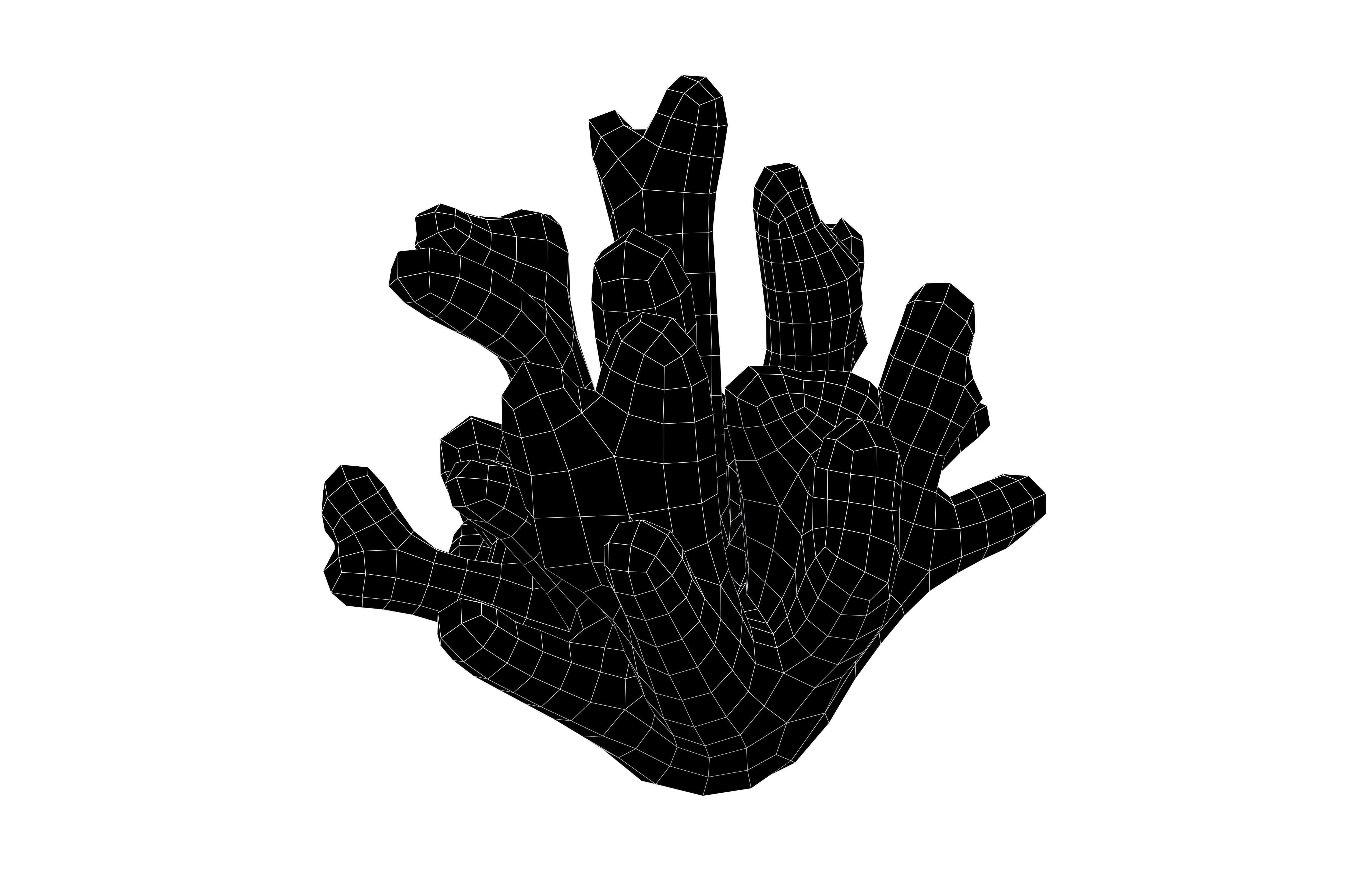 Cartoon Coral v2 002 Low-poly 3D model_4