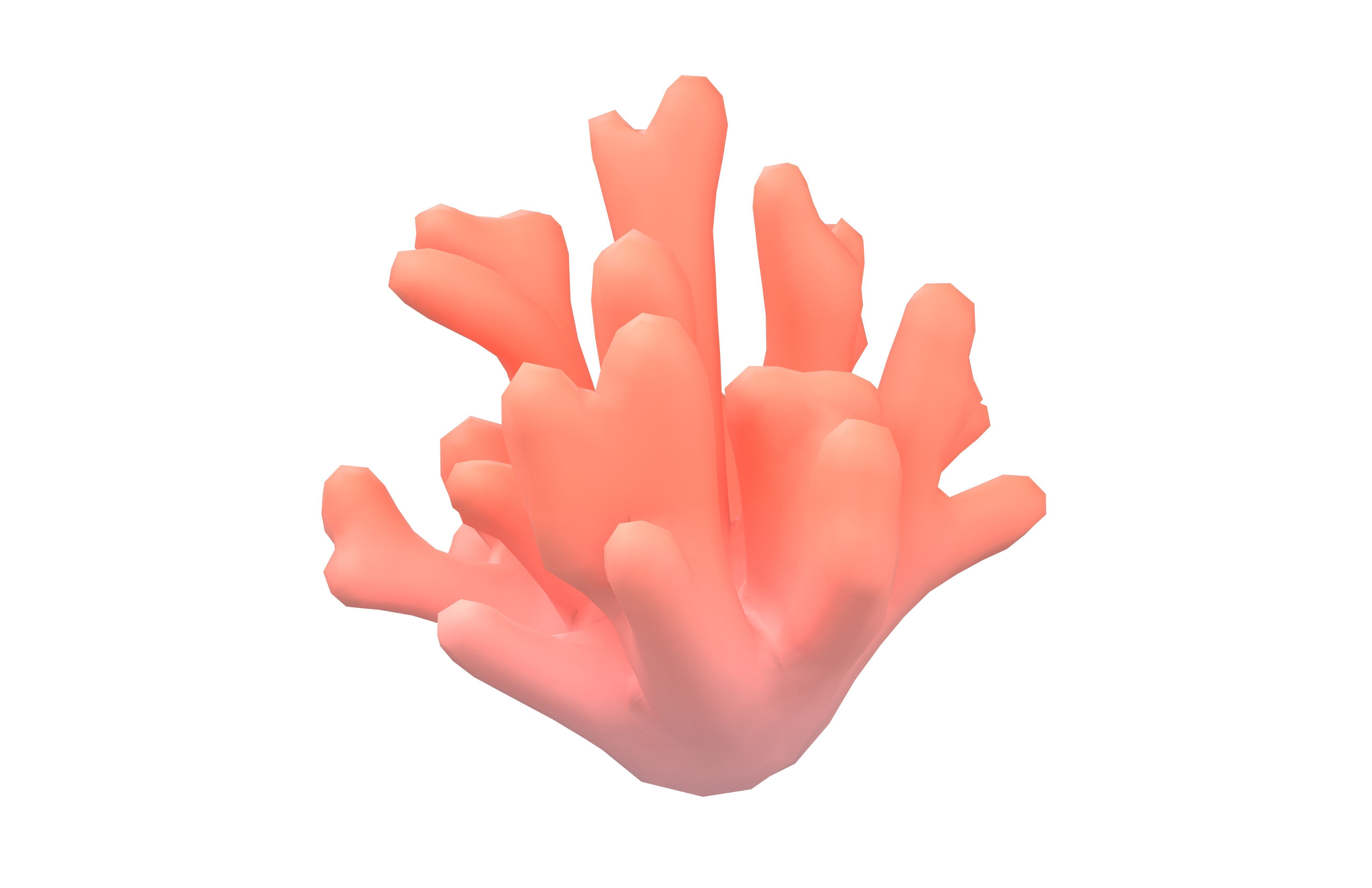 Cartoon Coral v2 002 Low-poly 3D model_1