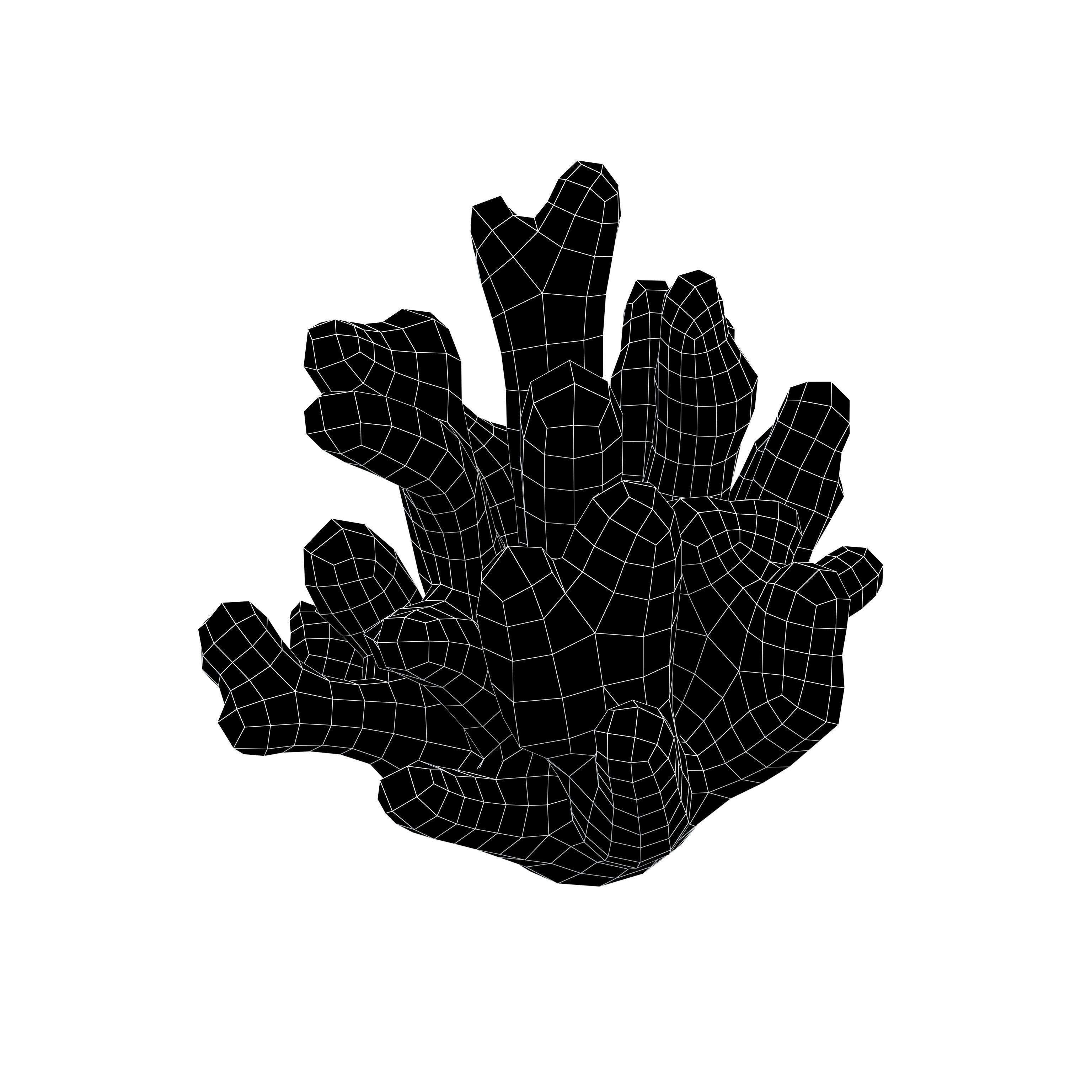 Cartoon Coral v2 002 Low-poly 3D model_7