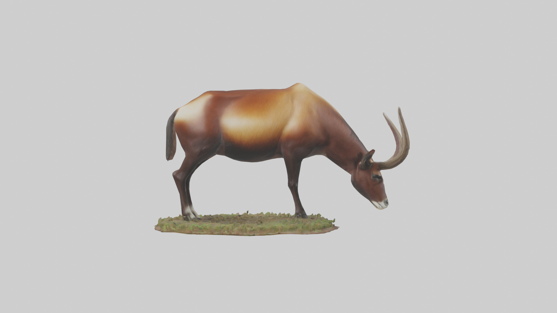 Sable Antelope grazing model Low-poly 3D model_1