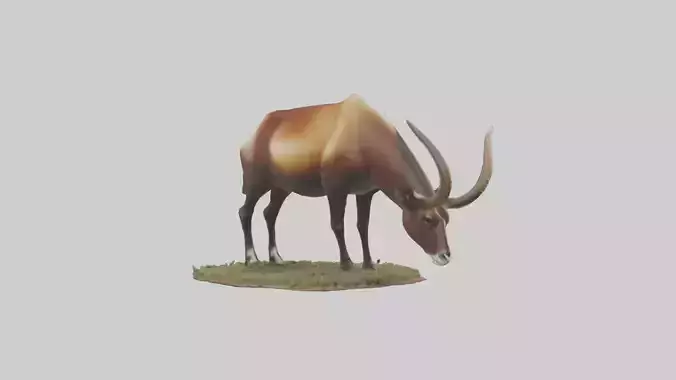 Sable Antelope grazing model