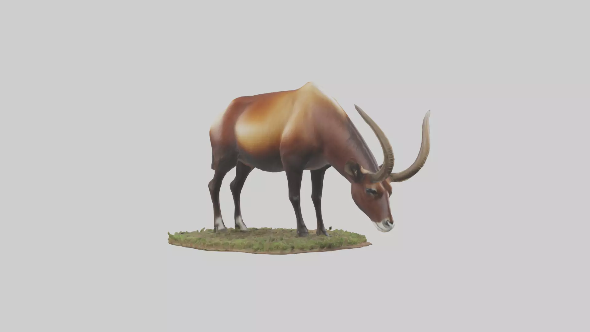 Sable Antelope grazing model Low-poly 3D model_0