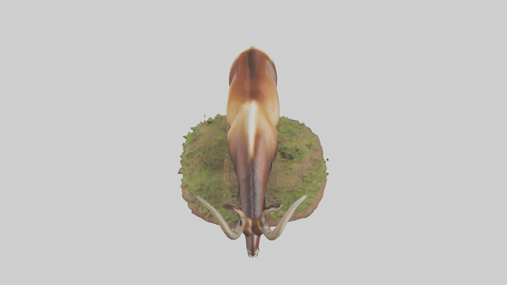 Sable Antelope grazing model Low-poly 3D model_16