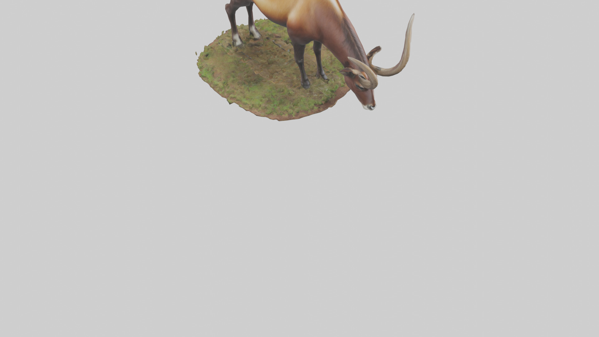 Sable Antelope grazing model Low-poly 3D model_8
