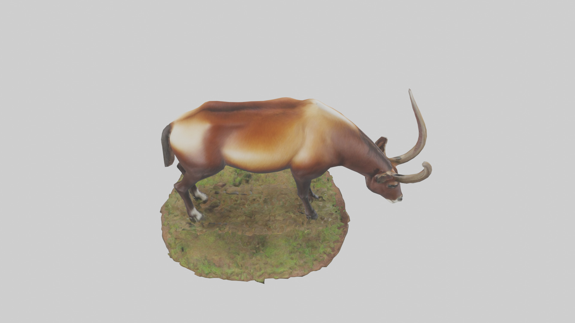 Sable Antelope grazing model Low-poly 3D model_18