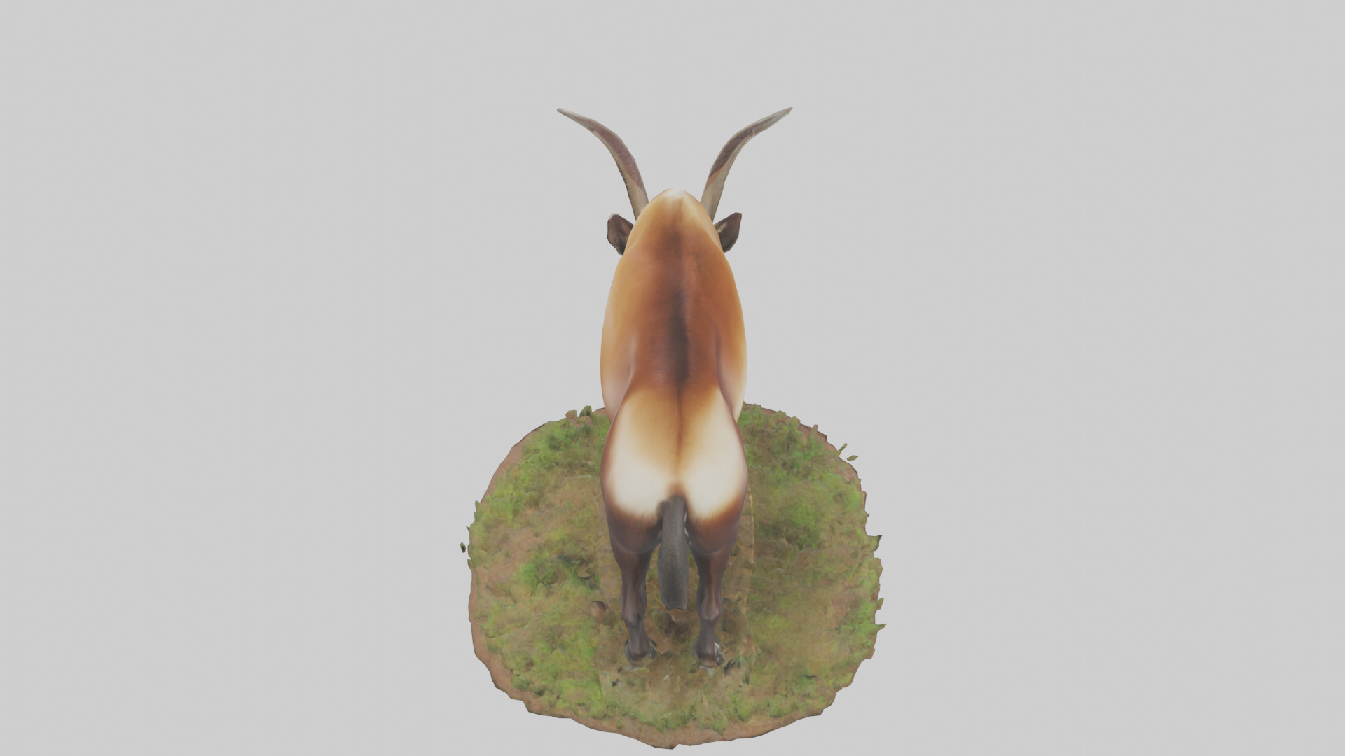 Sable Antelope grazing model Low-poly 3D model_15