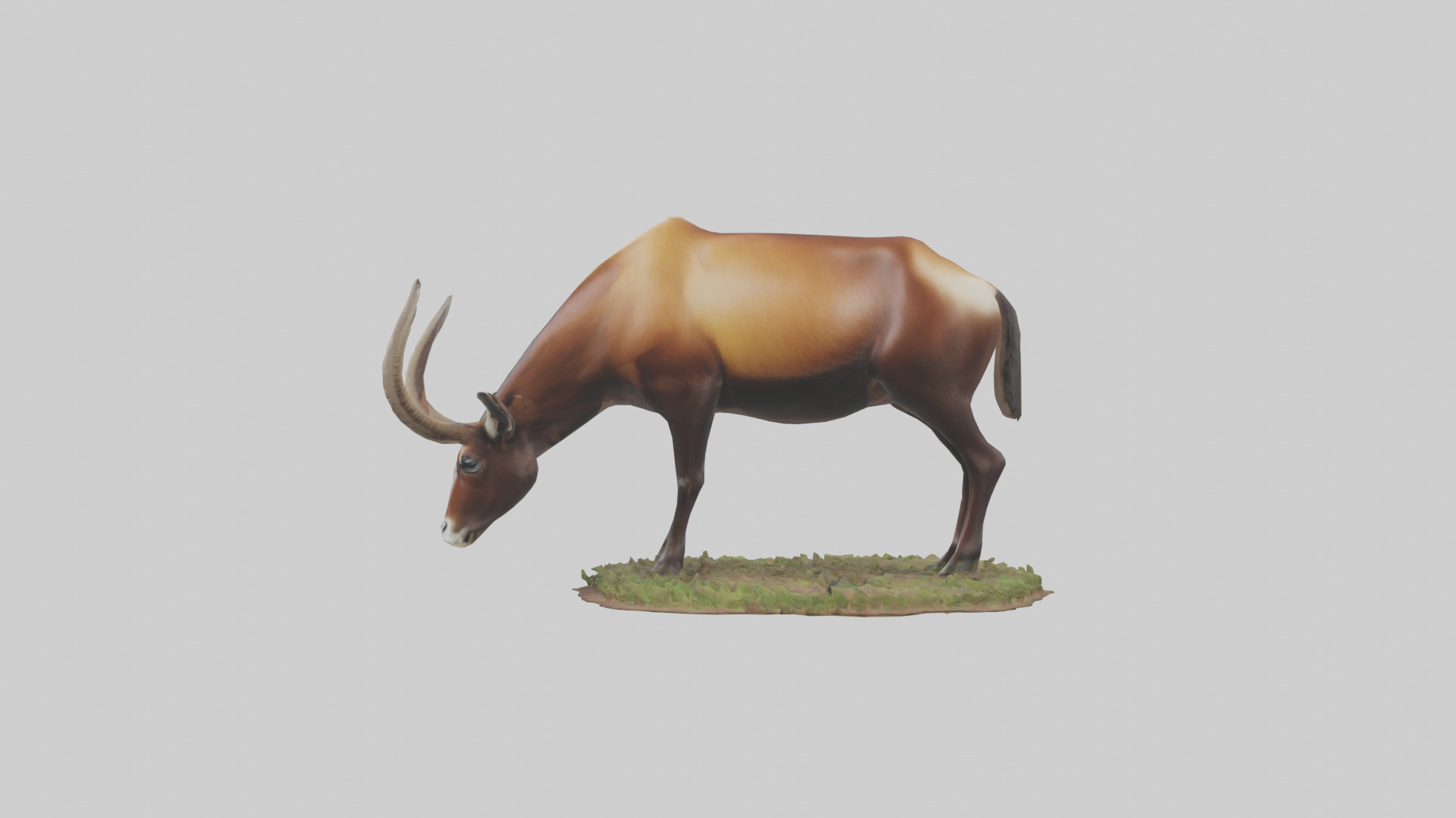 Sable Antelope grazing model Low-poly 3D model_13