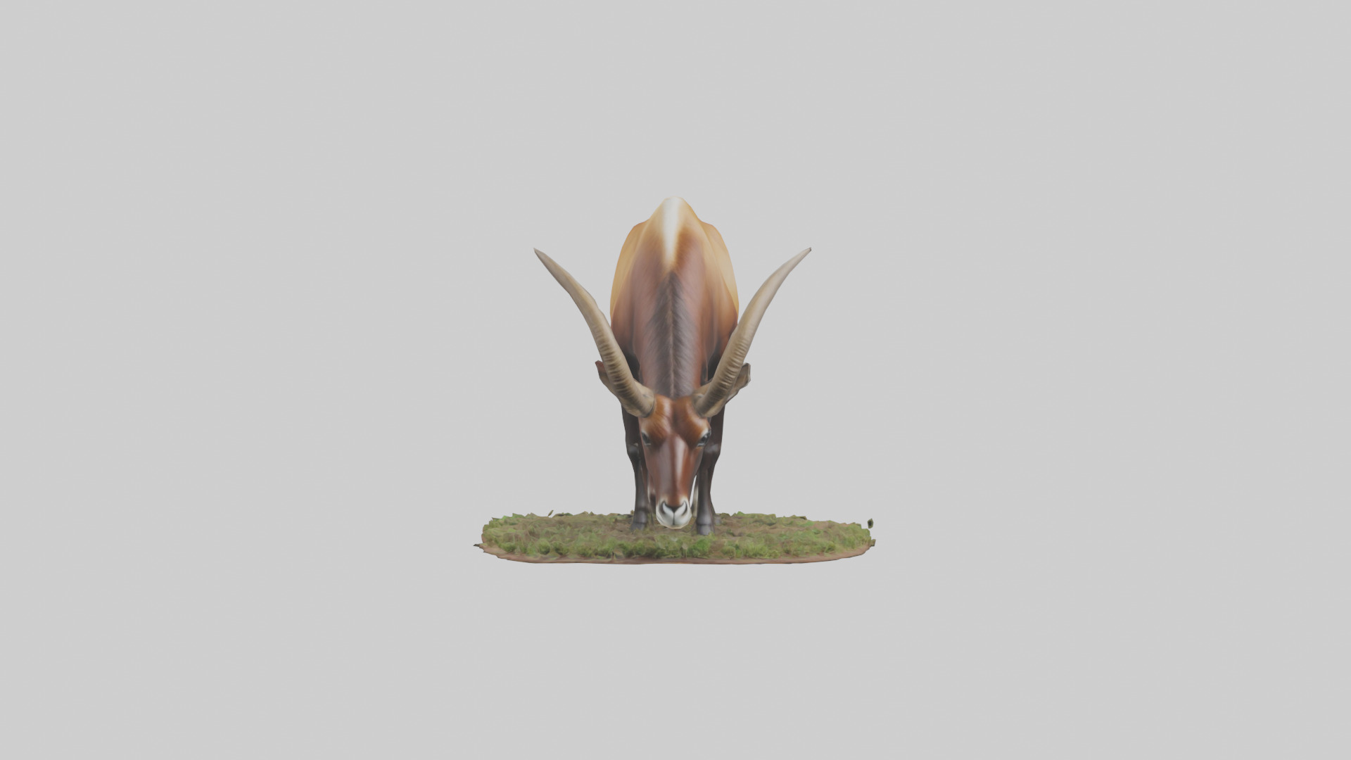 Sable Antelope grazing model Low-poly 3D model_10