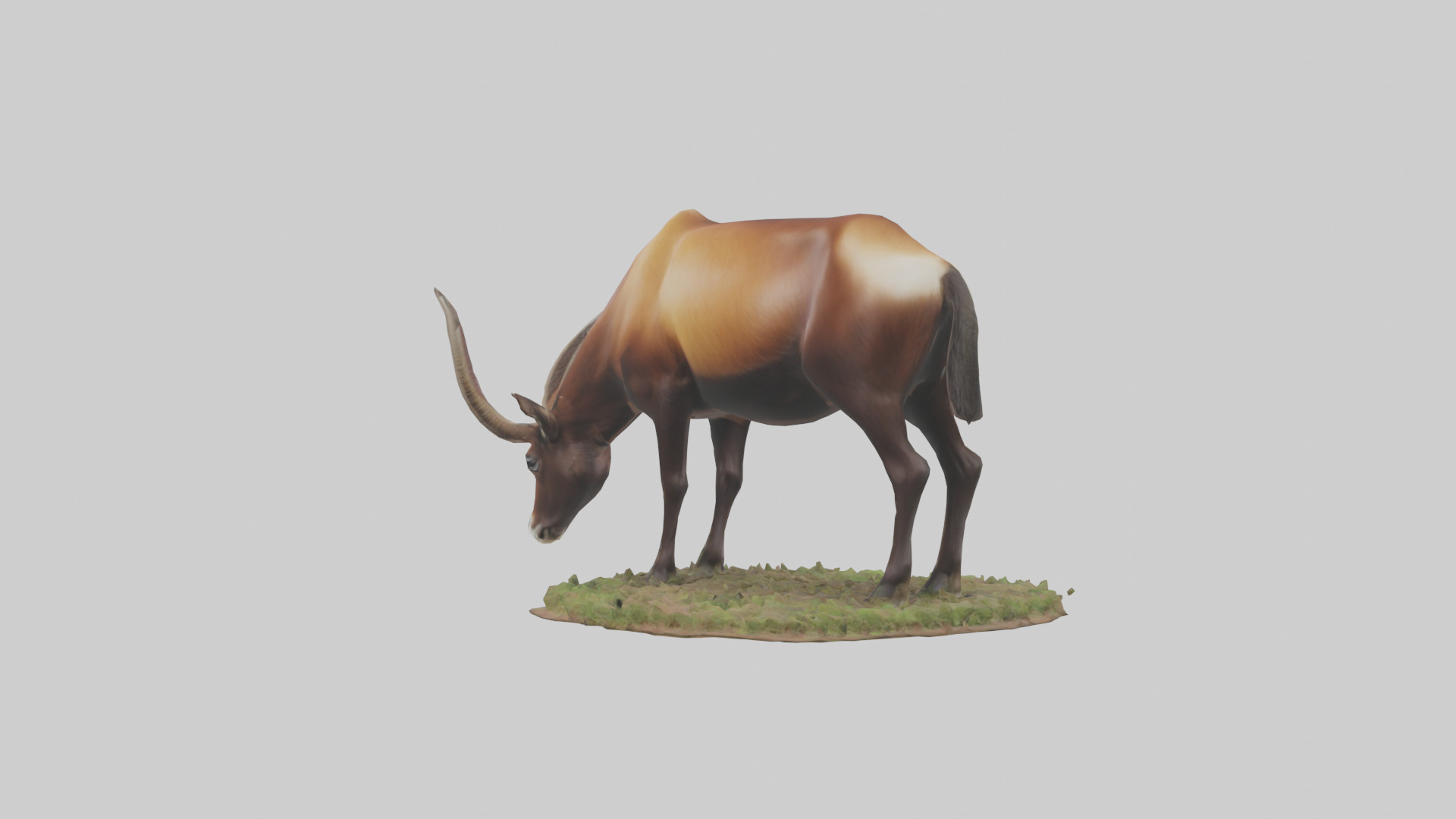 Sable Antelope grazing model Low-poly 3D model_3