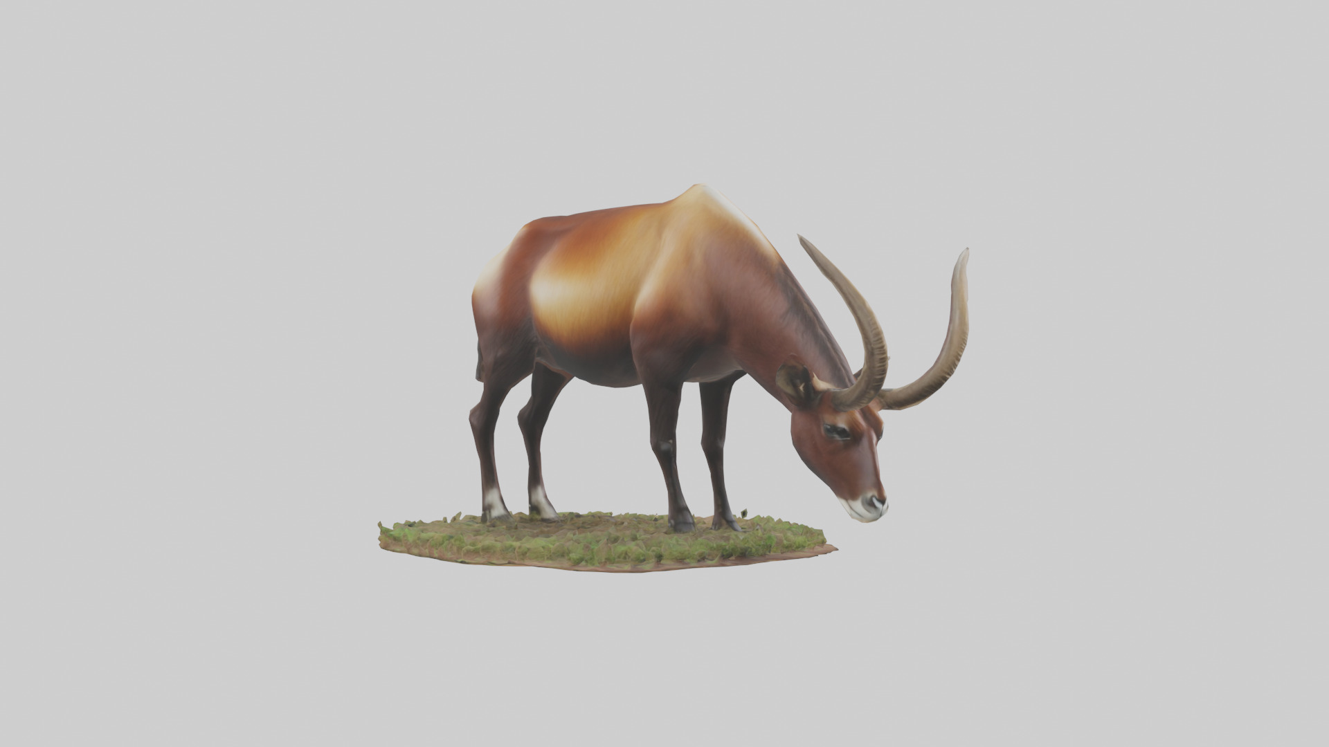 Sable Antelope grazing model Low-poly 3D model_12