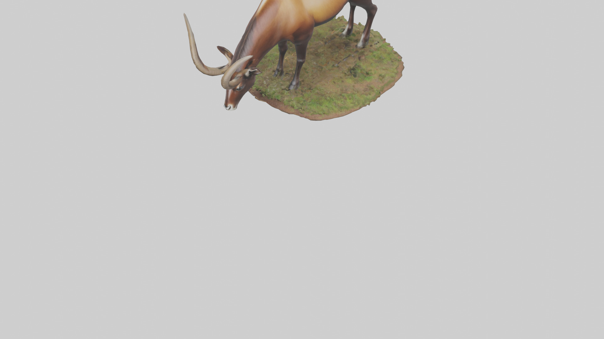 Sable Antelope grazing model Low-poly 3D model_7