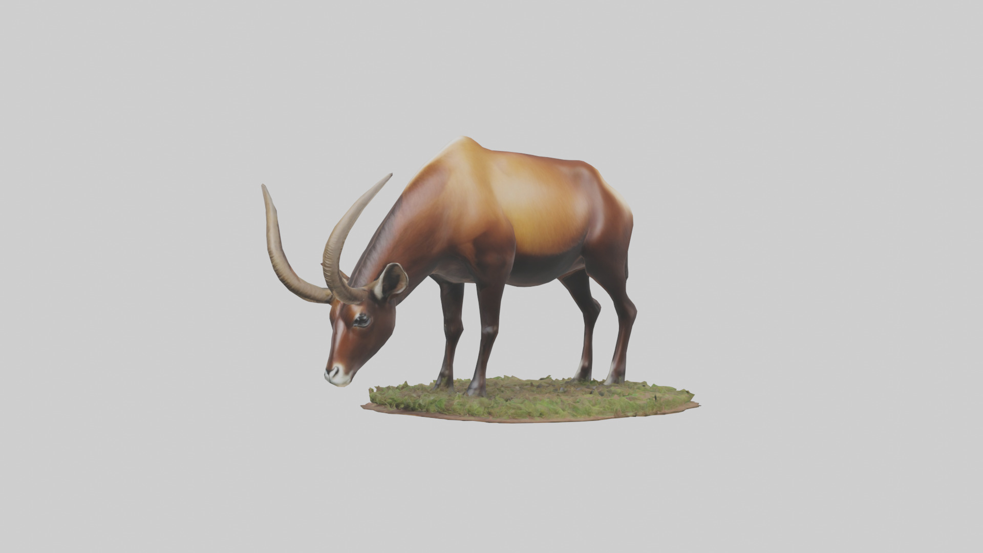 Sable Antelope grazing model Low-poly 3D model_11