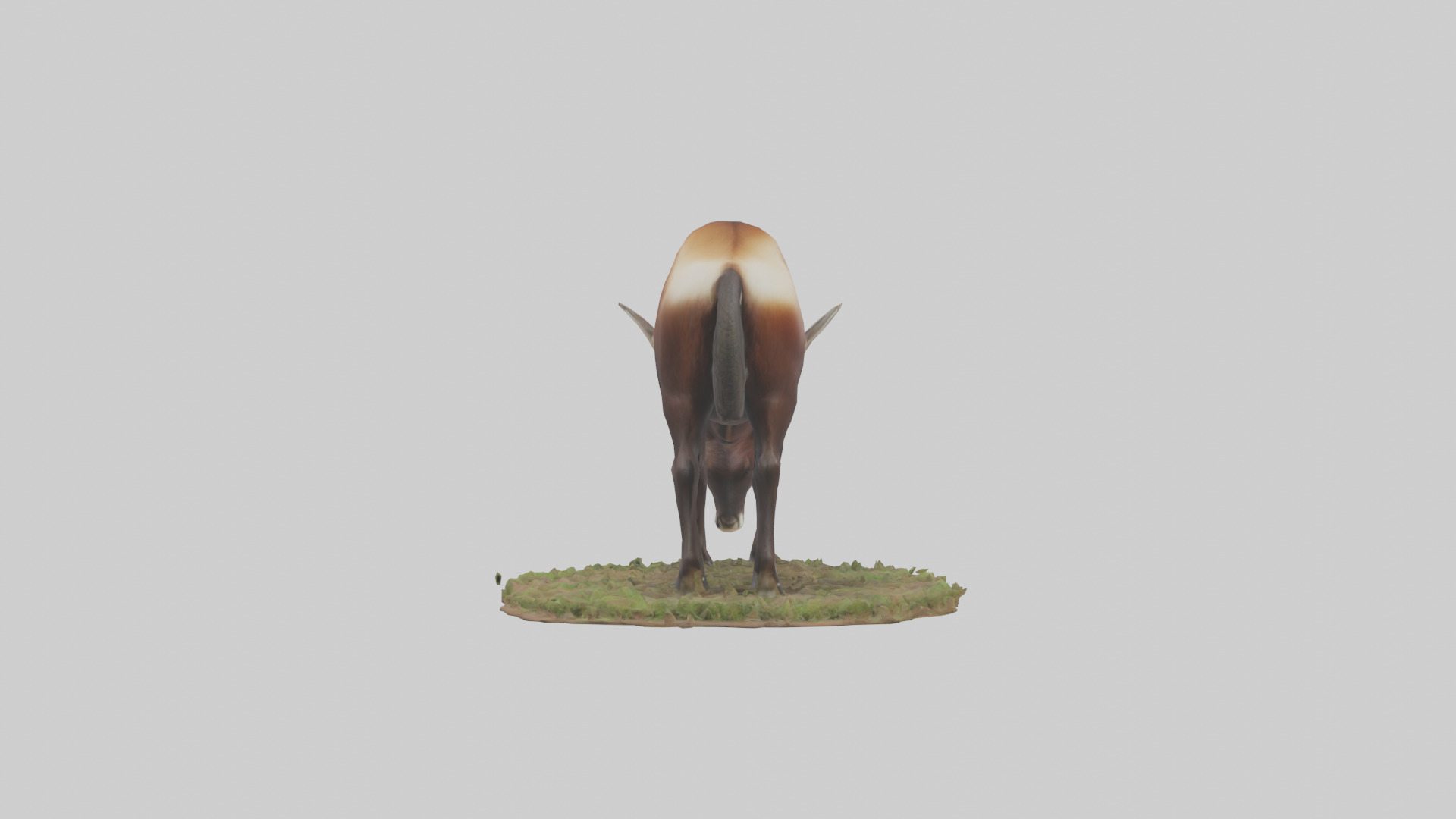 Sable Antelope grazing model Low-poly 3D model_2