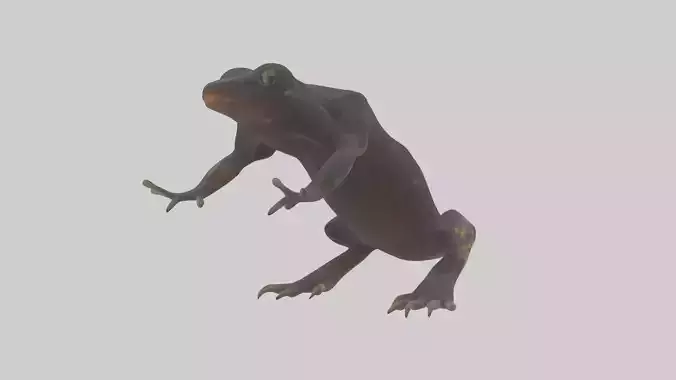 Salamander Legs Low-poly 3D model
