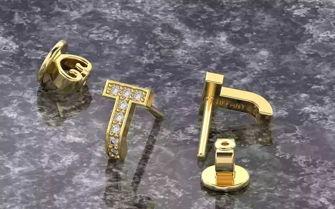 Tiffany T Earrings