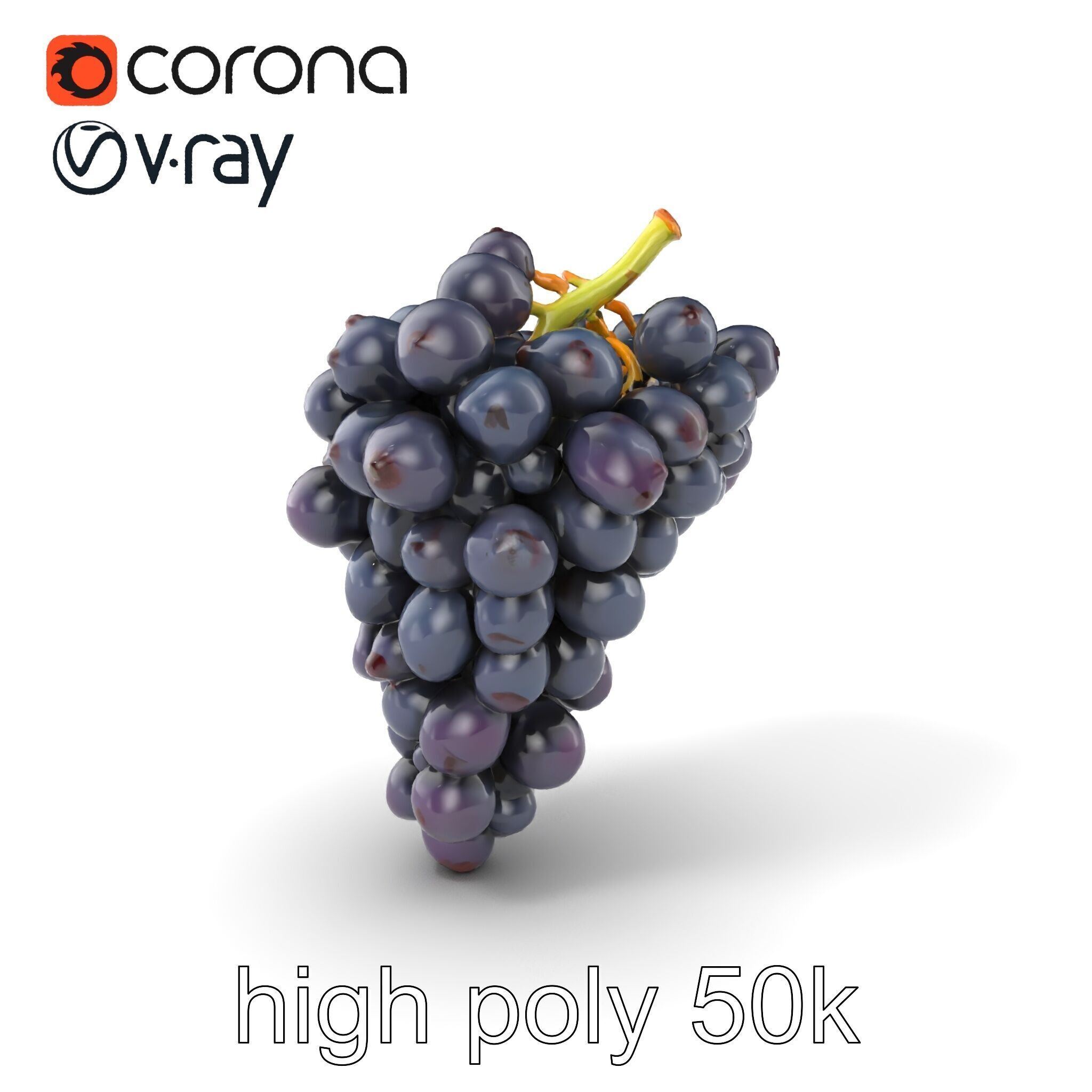 Elegant Black Grape Bunch model pack Low-poly 3D model_2