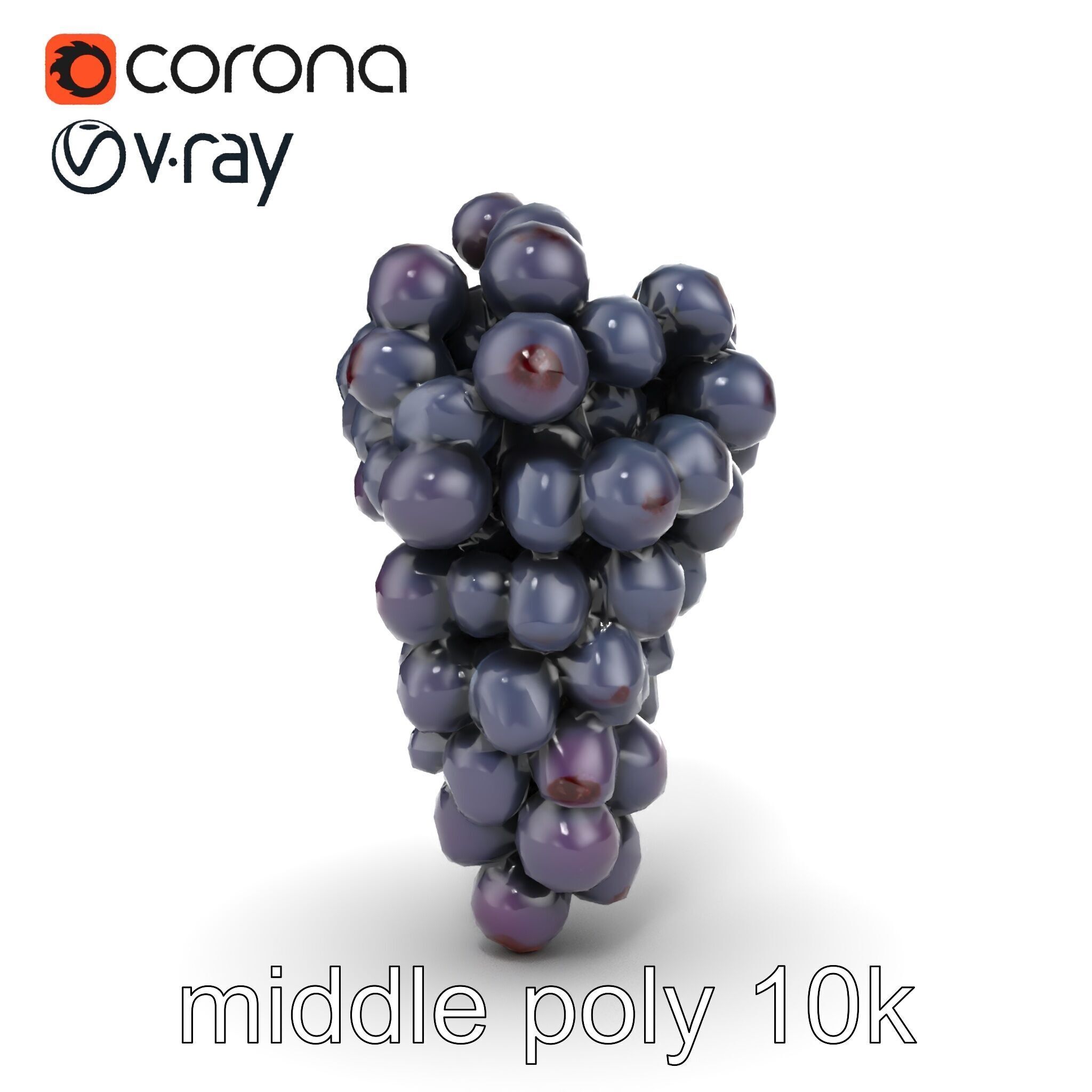 Elegant Black Grape Bunch model pack Low-poly 3D model_14