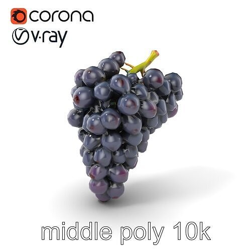 Elegant Black Grape Bunch model pack Low-poly 3D model