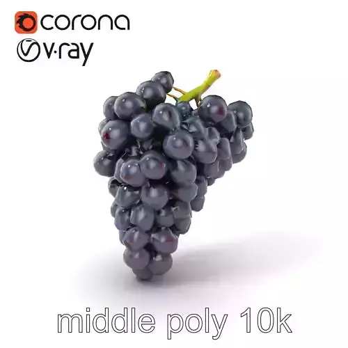 Elegant Black Grape Bunch model pack Low-poly 3D model