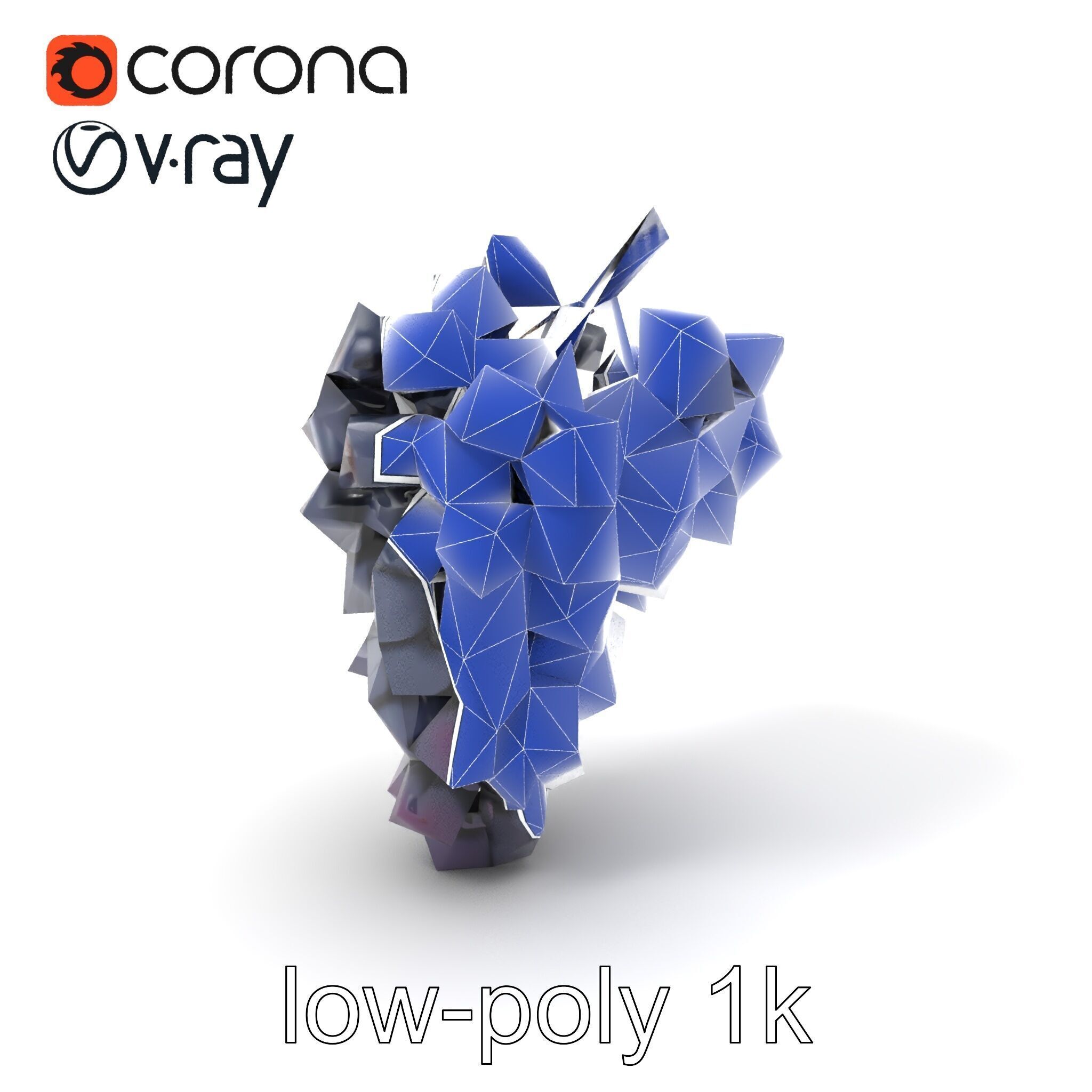 Elegant Black Grape Bunch model pack Low-poly 3D model_7