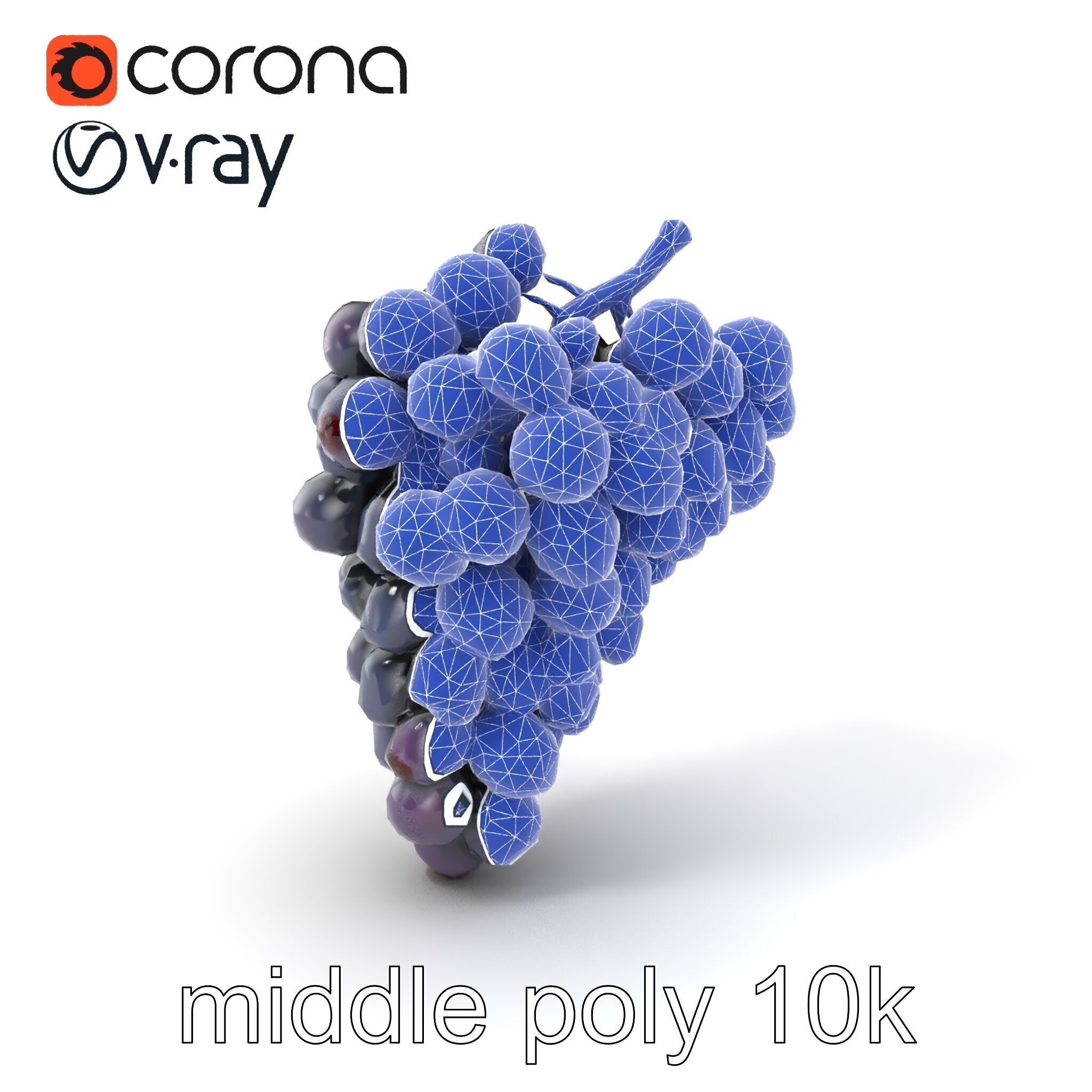 Elegant Black Grape Bunch model pack Low-poly 3D model_6