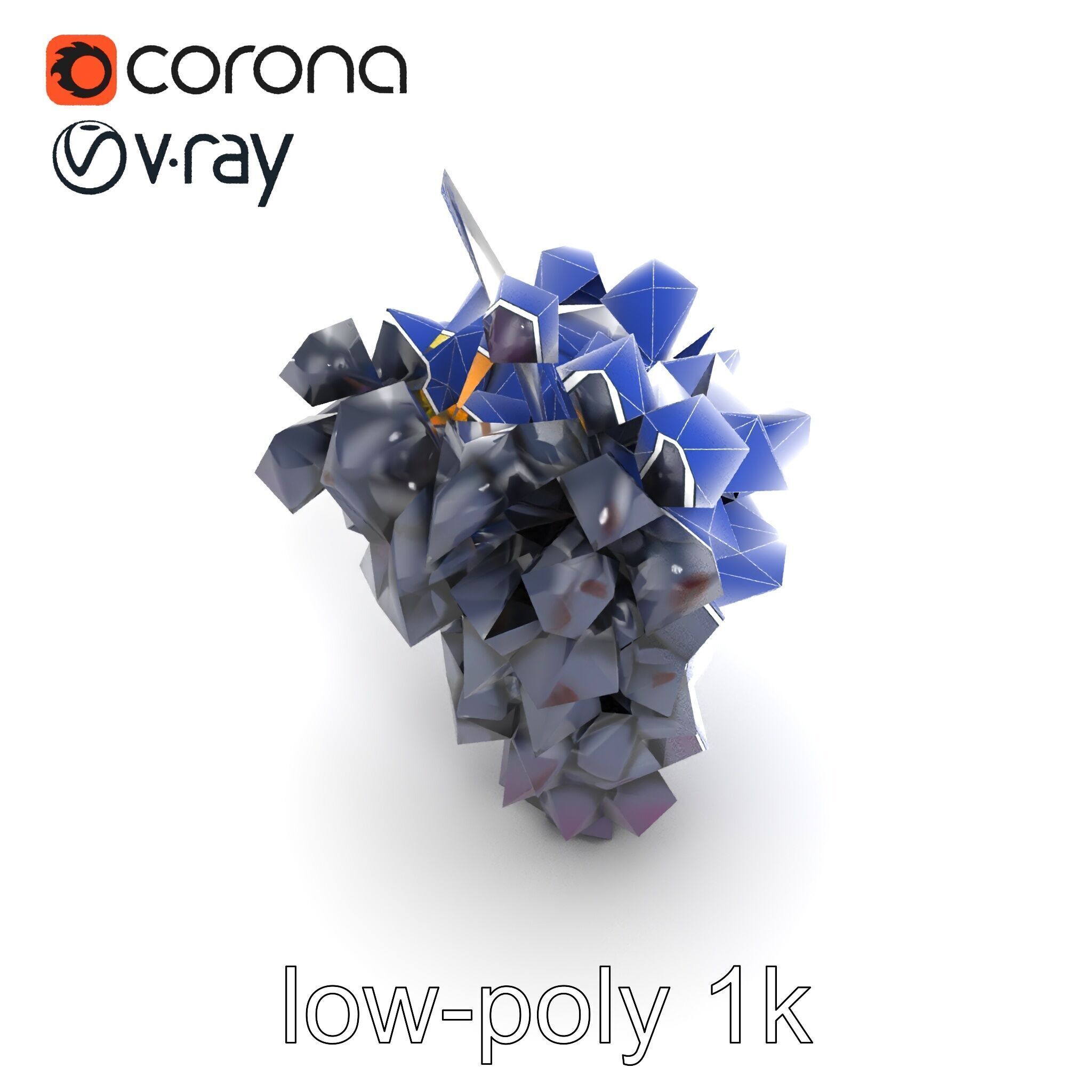 Elegant Black Grape Bunch model pack Low-poly 3D model_21