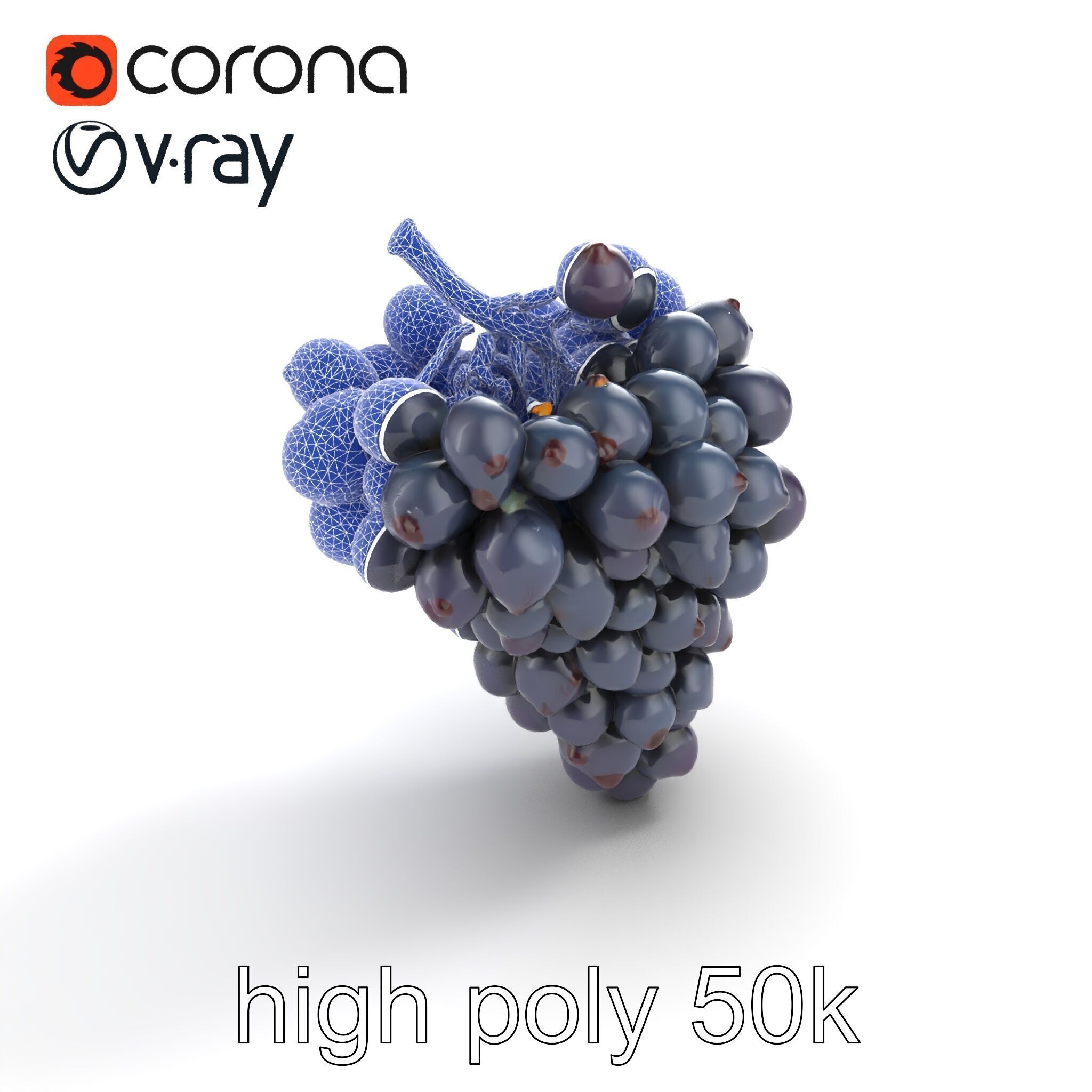 Elegant Black Grape Bunch model pack Low-poly 3D model_31