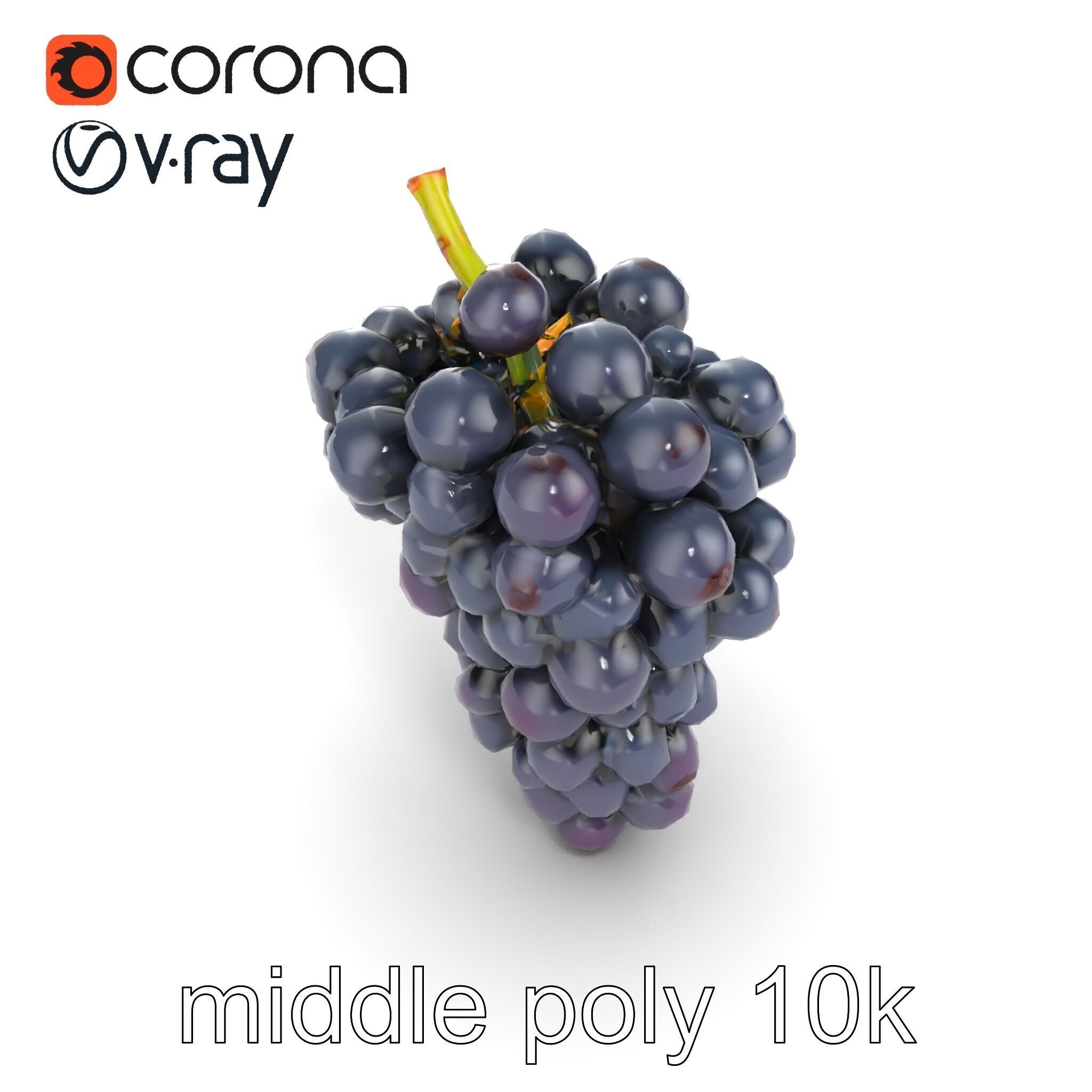 Elegant Black Grape Bunch model pack Low-poly 3D model_23