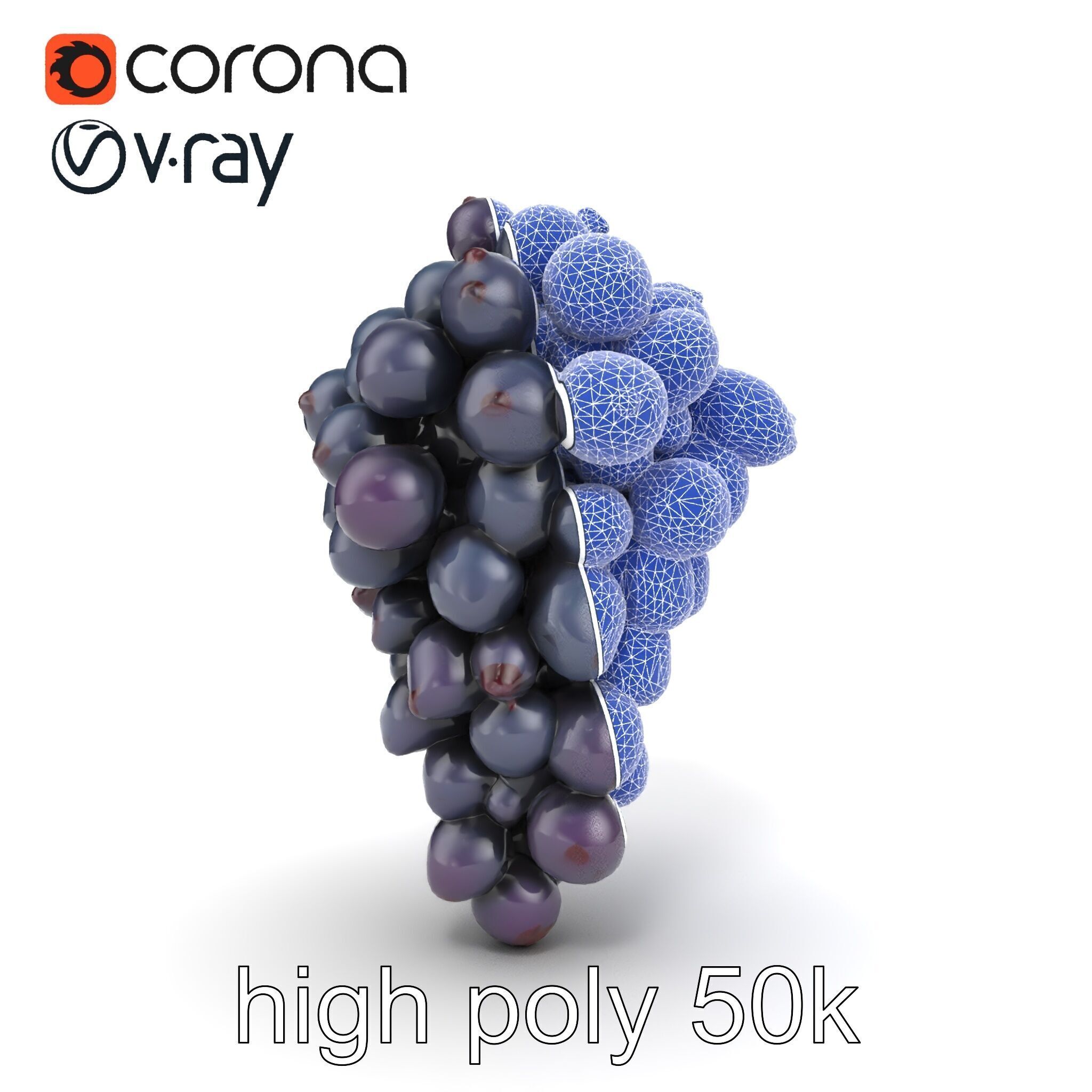 Elegant Black Grape Bunch model pack Low-poly 3D model_22