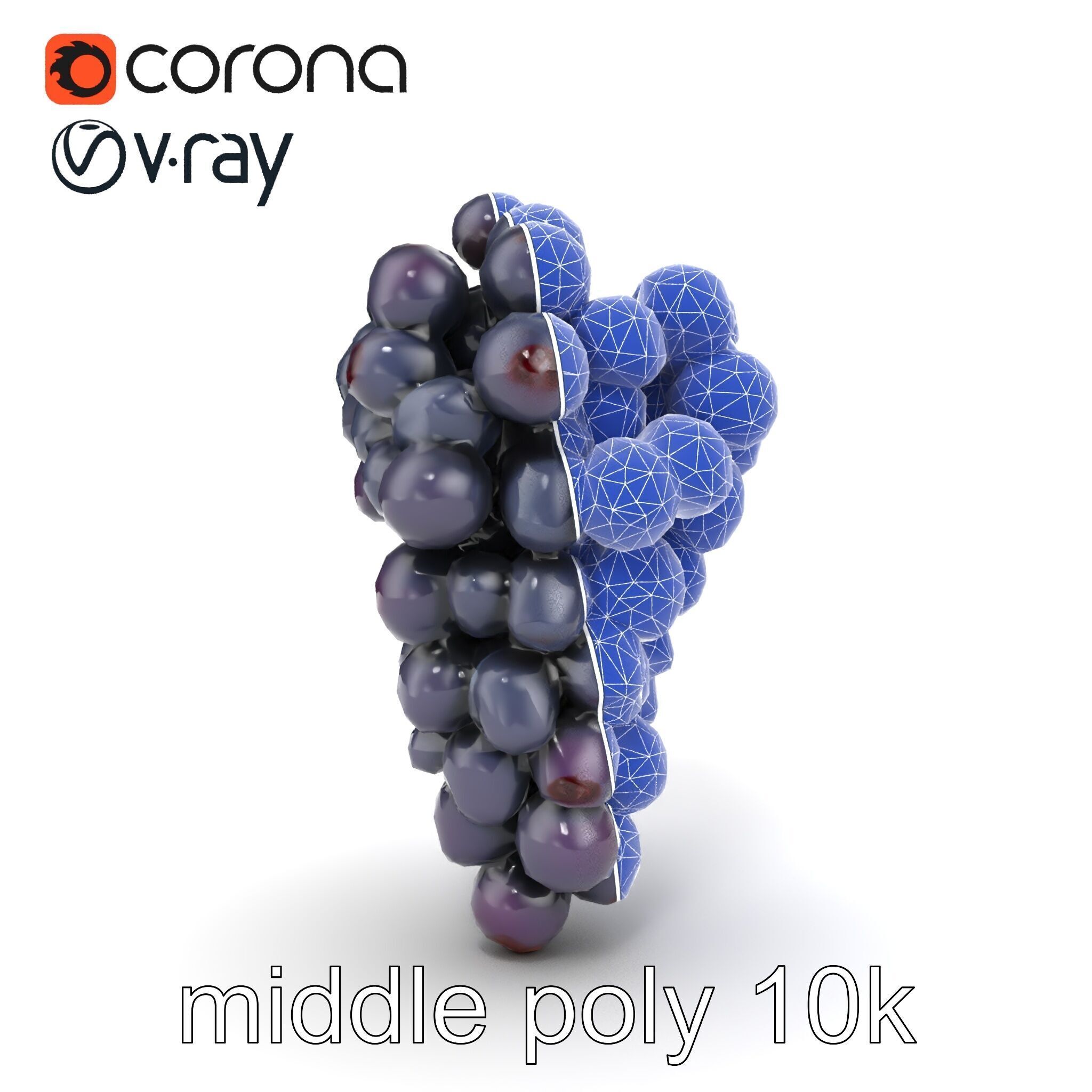 Elegant Black Grape Bunch model pack Low-poly 3D model_30